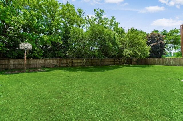 3524 Farmstead Dr, Pickerington, OH 43147 - photo 29
