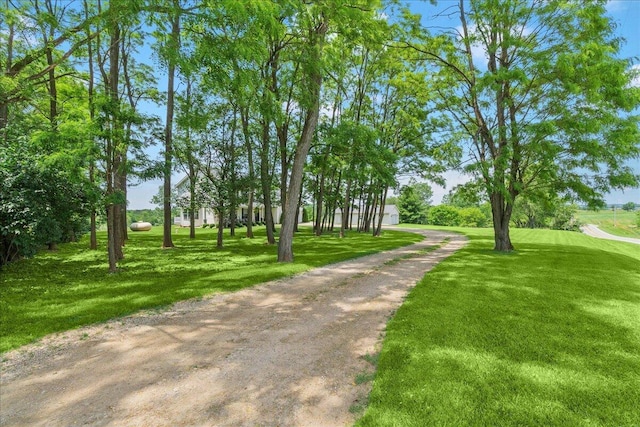 6171 State Route 245, North Lewisburg, OH 43060 - surrounding community with a lawn