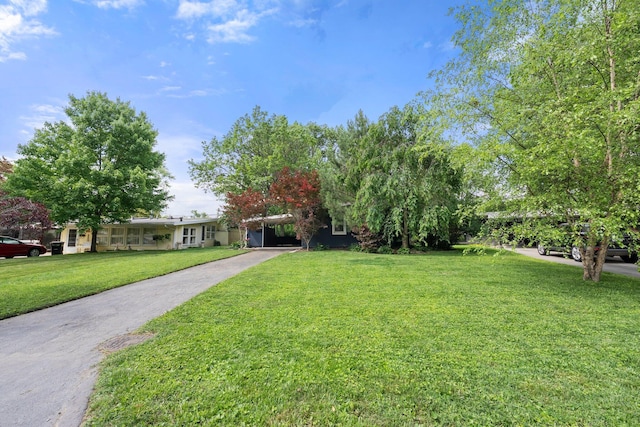 2474 Bristol Rd, Columbus, OH 43221 - view of green lawn featuring driveway and an attached carport