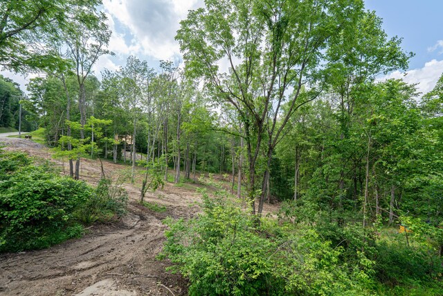 63775-B State Route 56, Creola, OH 45622 - view of local wilderness