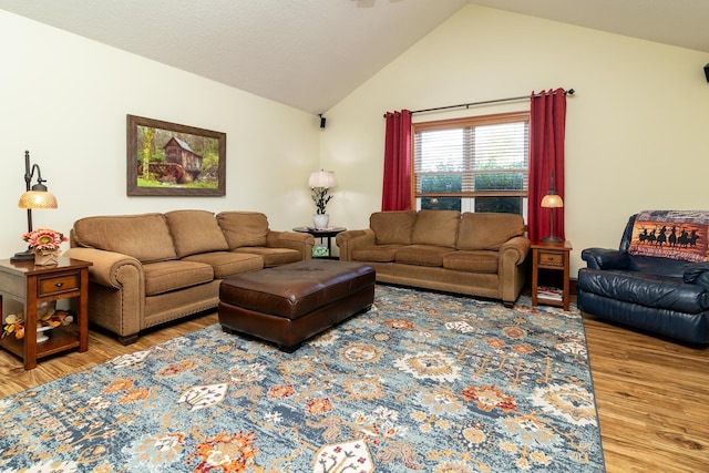 1163 Sitterley Rd NW, Canal Winchester, OH 43110 - living room featuring light wood-style floors and vaulted ceiling
