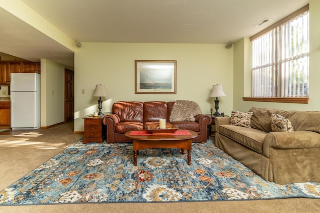 1163 Sitterley Rd NW, Canal Winchester, OH 43110 - view of carpeted living area