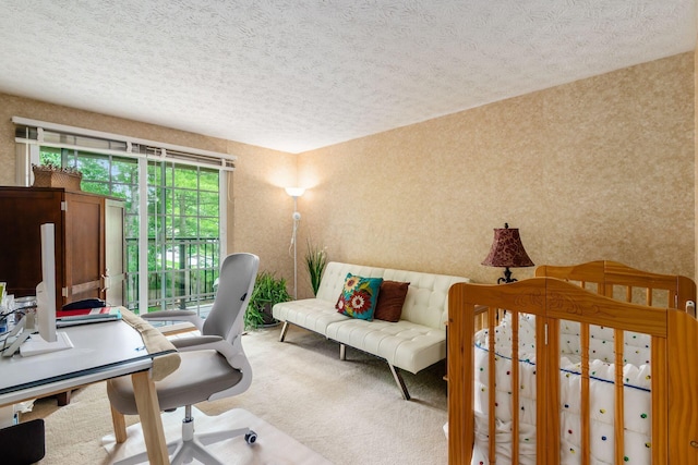 5092 Schuylkill St Unit 31-92, Columbus, OH 43220 - home office with carpet floors and a textured ceiling