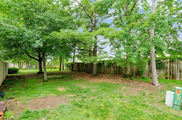 5092 Schuylkill St Unit 31-92, Columbus, OH 43220 - view of yard