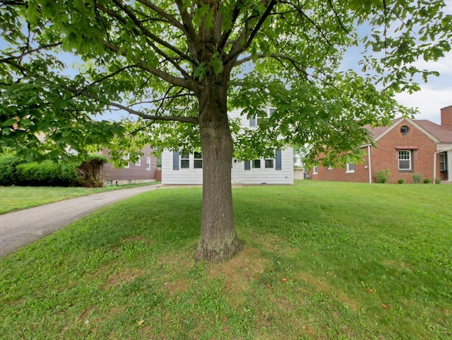 315 S Southampton Ave, Columbus, OH 43204 - view of property hidden behind natural elements with a front lawn