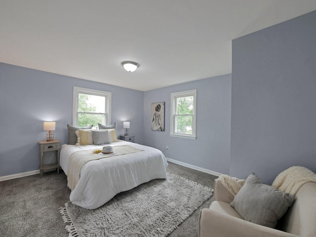 315 S Southampton Ave, Columbus, OH 43204 - bedroom with multiple windows and carpet