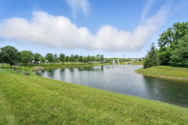 6097 Fallsburg Dr, Westerville, OH 43081 - photo 53