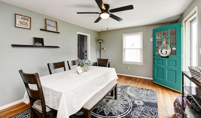 175 Pierson Blvd, Newark, OH 43055 - dining area featuring ceiling fan and light wood-style floors