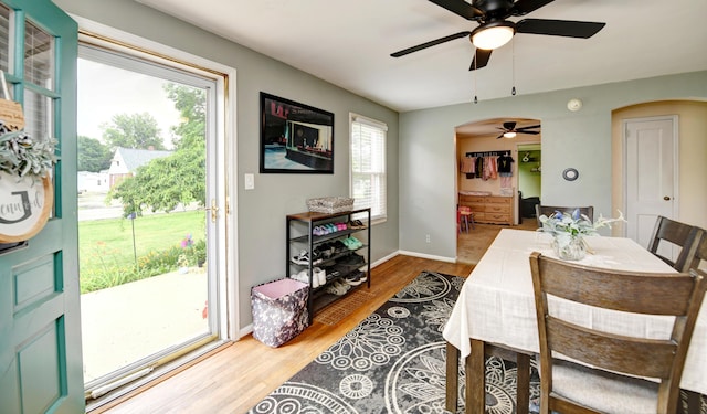 175 Pierson Blvd, Newark, OH 43055 - dining room with ceiling fan, arched walkways, and wood finished floors