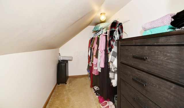 175 Pierson Blvd, Newark, OH 43055 - walk in closet with light carpet and lofted ceiling