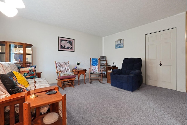 1138 Ohio Ave, Logan, OH 43138 - carpeted living room with a textured ceiling