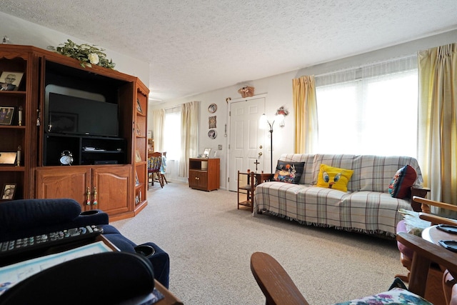 1138 Ohio Ave, Logan, OH 43138 - living room with carpet flooring and a textured ceiling
