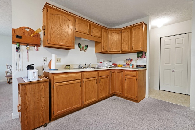 1138 Ohio Ave, Logan, OH 43138 - kitchen featuring light carpet, light countertops, brown cabinets, and a textured ceiling
