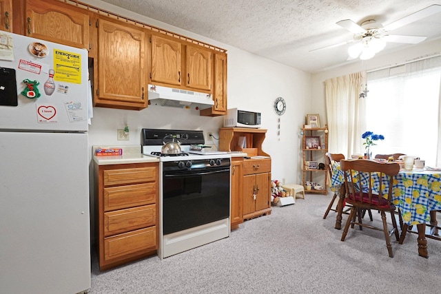 1138 Ohio Ave, Logan, OH 43138 - kitchen with white appliances, under cabinet range hood, light carpet, light countertops, and a textured ceiling