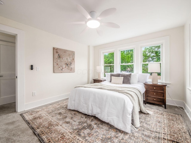 935 S Ohio Ave, Columbus, OH 43206 - bedroom with carpet floors and ceiling fan