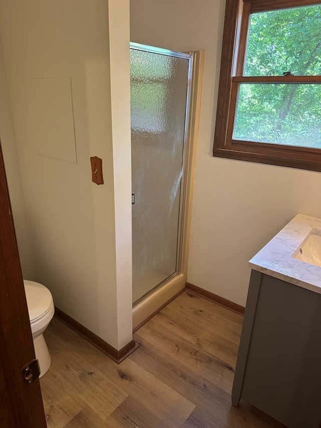 300 Core Rd, Frankfort, OH 45628 - bathroom featuring wood finished floors, a shower stall, and vanity