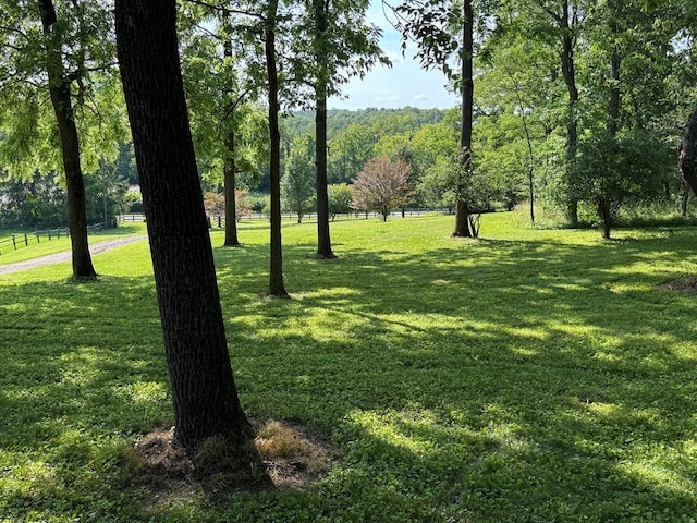 300 Core Rd, Frankfort, OH 45628 - view of grassy yard