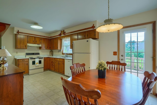 4979 Johnanne Dr, Groveport, OH 43125 - kitchen with white appliances, under cabinet range hood, brown cabinets, and healthy amount of natural light