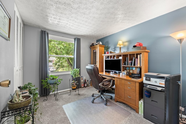 6492 Cherokee Rose Dr, Westerville, OH 43081 - office with carpet flooring and a textured ceiling