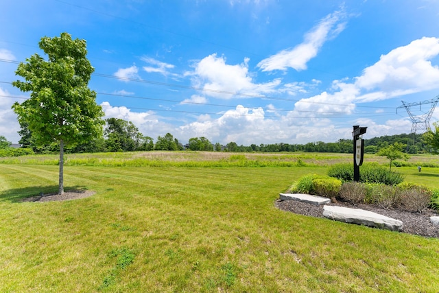 735 Zoar St, Galena, OH 43021 - photo 56