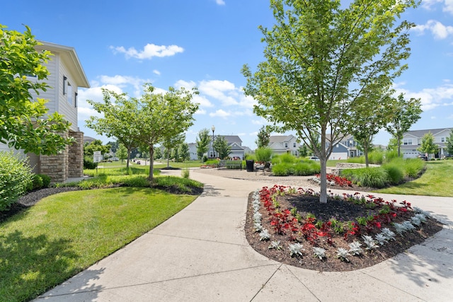 735 Zoar St, Galena, OH 43021 - photo 44