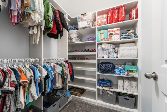 208 Dowler Dr, South Bloomfield, OH 43103 - view of walk in closet