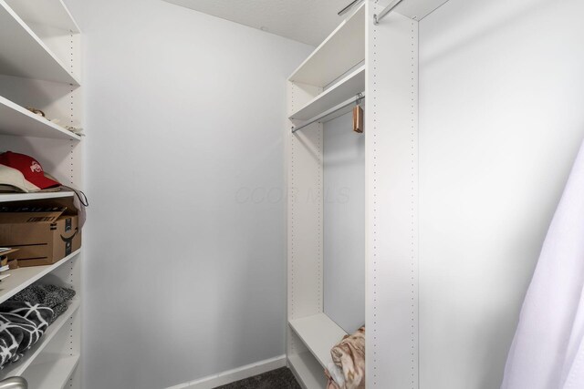 208 Dowler Dr, South Bloomfield, OH 43103 - view of spacious closet