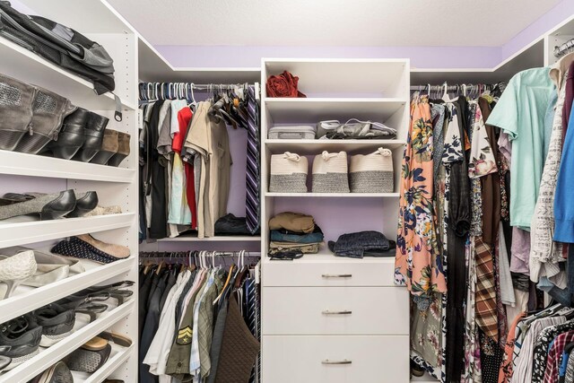 208 Dowler Dr, South Bloomfield, OH 43103 - view of walk in closet