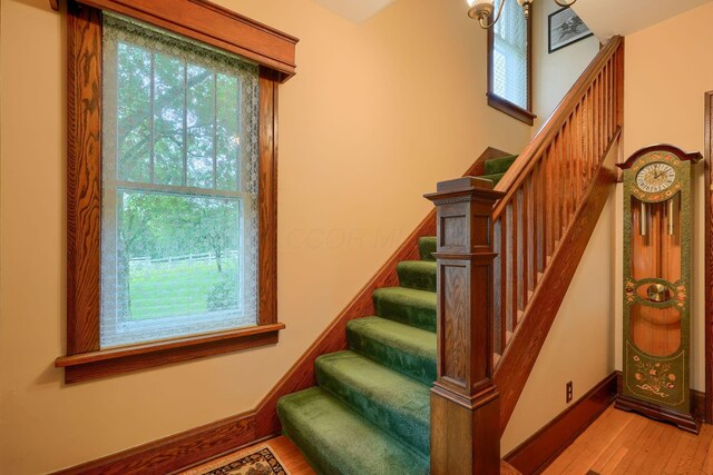 1295 Cedar Hill Rd NW, Canal Winchester, OH 43110 - photo 40