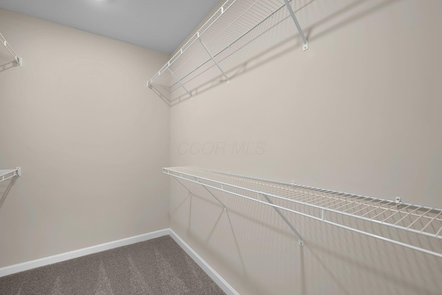 763 Whitetail Loop, Newark, OH 43055 - walk in closet featuring carpet floors