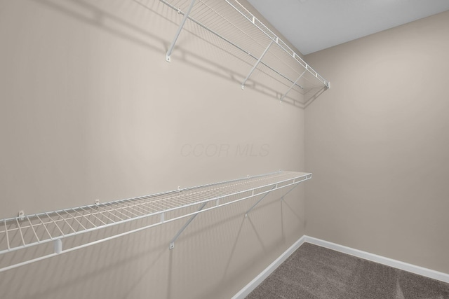 763 Whitetail Loop, Newark, OH 43055 - spacious closet with carpet