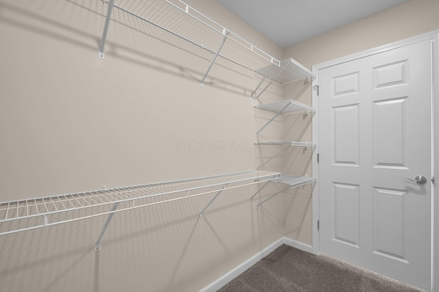 763 Whitetail Loop, Newark, OH 43055 - spacious closet featuring dark colored carpet