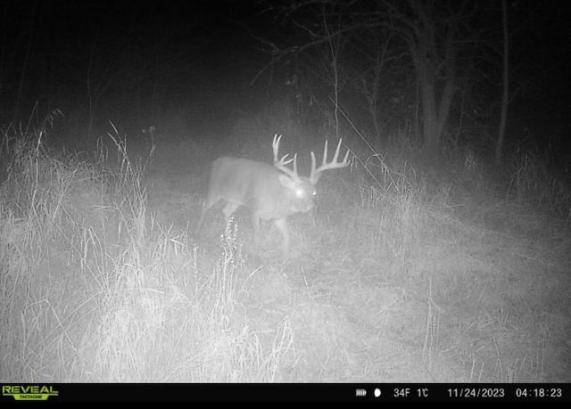 0 Dry Lane Rd N, La Rue, OH 43332 - photo 8