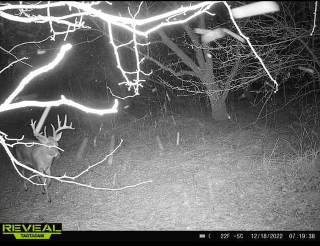 0 Dry Lane Rd N, La Rue, OH 43332 - photo 10