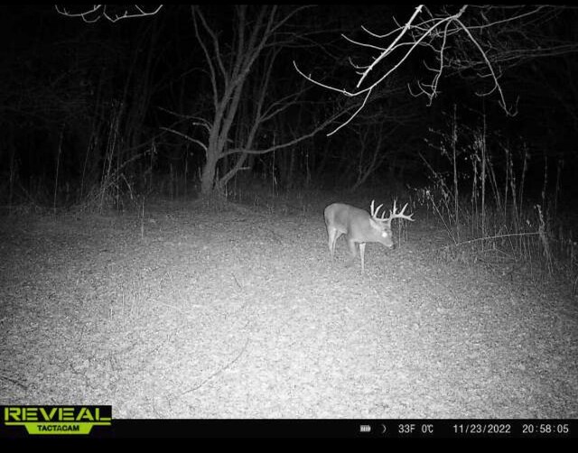 0 Dry Lane Rd N, La Rue, OH 43332 - photo 11