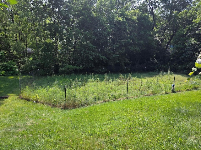 115 David St, Delaware, OH 43015 - view of yard with a wooded view