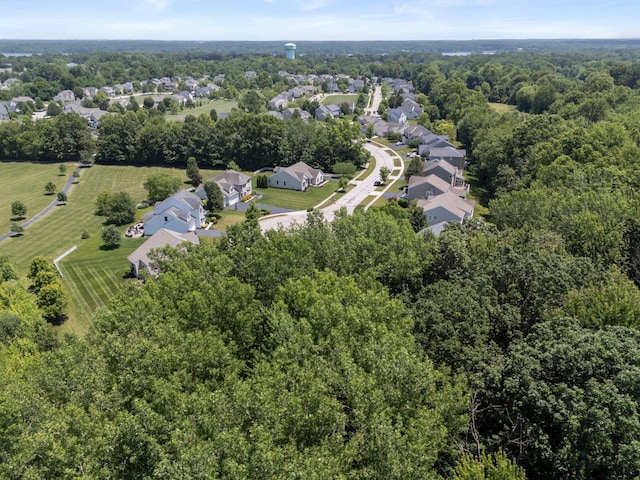 7293 Seraphim Ct, Galena, OH 43021 - photo 77