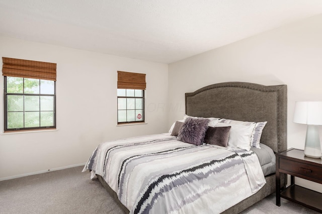 7911 Verandah Ct Unit 58, Powell, OH 43065 - bedroom featuring carpet and baseboards