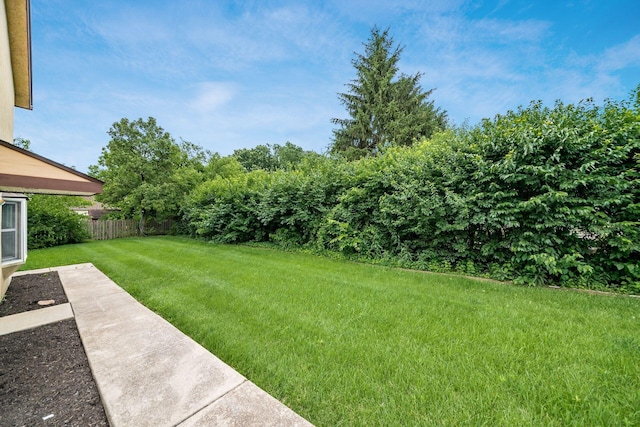 1571 Vinton Ave, Columbus, OH 43220 - view of yard