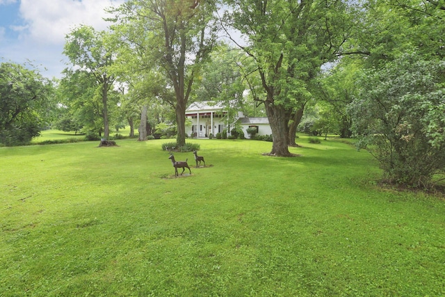 4557 State Route 159, Chillicothe, OH 45601 - photo 9