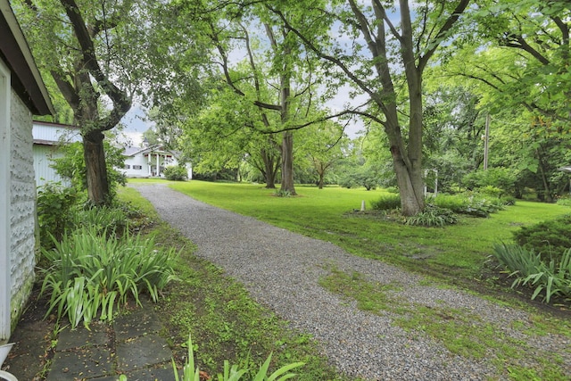 4557 State Route 159, Chillicothe, OH 45601 - photo 16