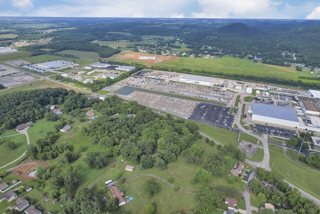 4557 State Route 159, Chillicothe, OH 45601 - photo 39