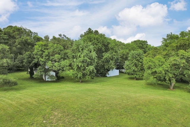 4557 State Route 159, Chillicothe, OH 45601 - photo 40