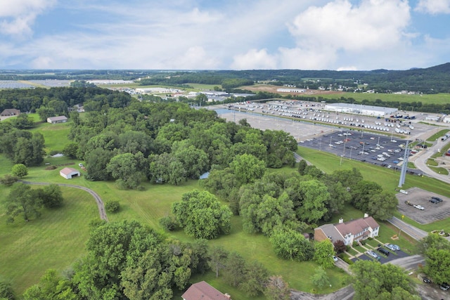 4557 State Route 159, Chillicothe, OH 45601 - photo 41