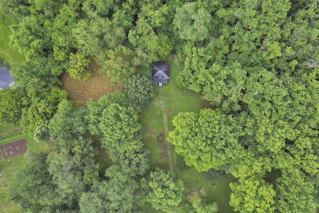 4557 State Route 159, Chillicothe, OH 45601 - photo 44