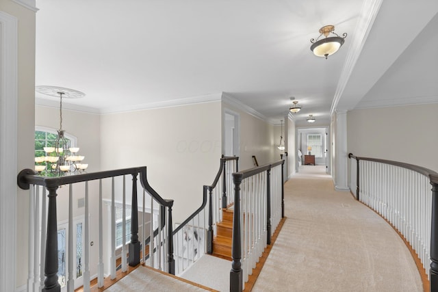 6432 Grasslands Ct, Westerville, OH 43082 - photo 47