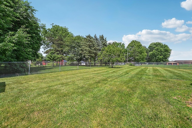 330 Tralee Trl, Cardington, OH 43315 - view of yard