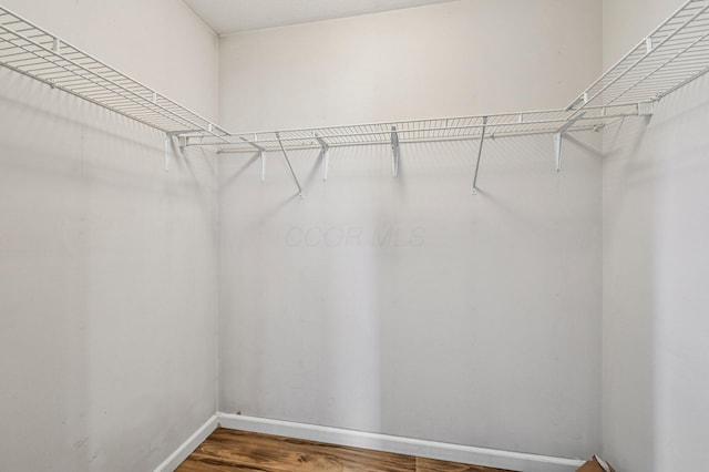 330 Tralee Trl, Cardington, OH 43315 - spacious closet with wood finished floors