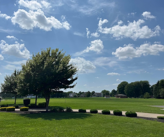 330 Tralee Trl, Cardington, OH 43315 - view of home's community with a lawn