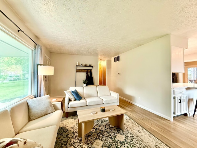 3811 Bradford Dr, Hilliard, OH 43026 - living room featuring a textured ceiling and light wood-style floors